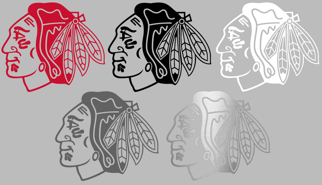 Chicago Blackhawks Team Logo Premium DieCut Vinyl Decal PICK COLOR & SIZE