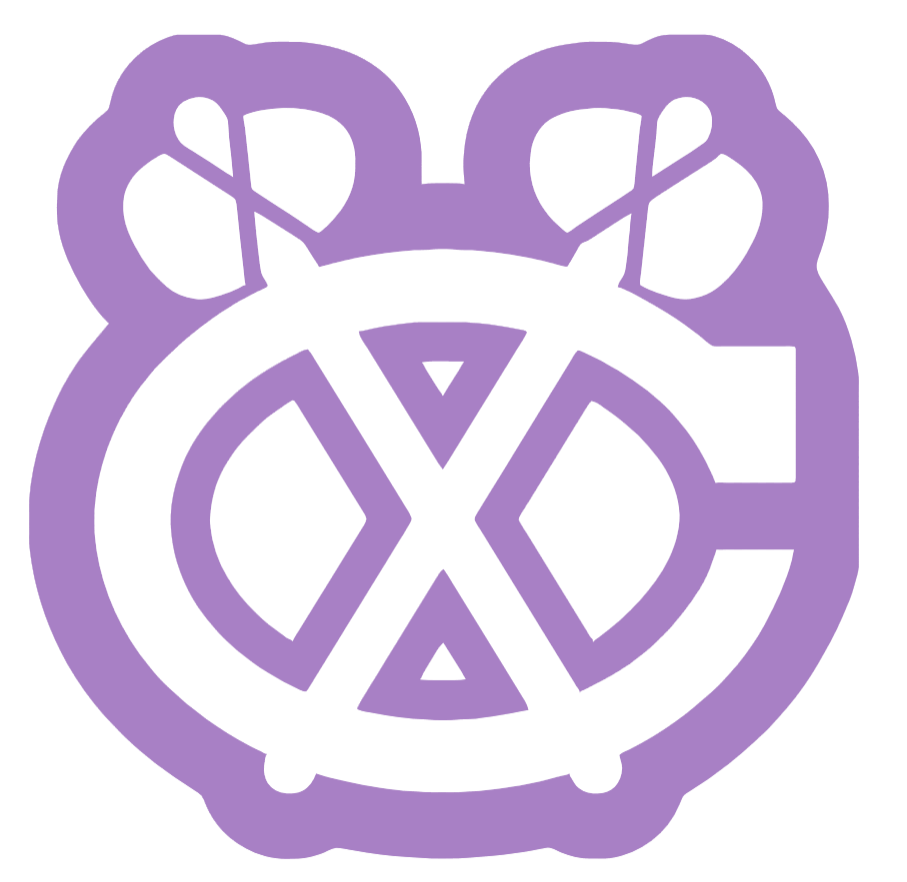 Chicago Blackhawks PURPLE CANCER AWARENESS Alternate Logo Premium DieCut Vinyl Decal PICK SIZE