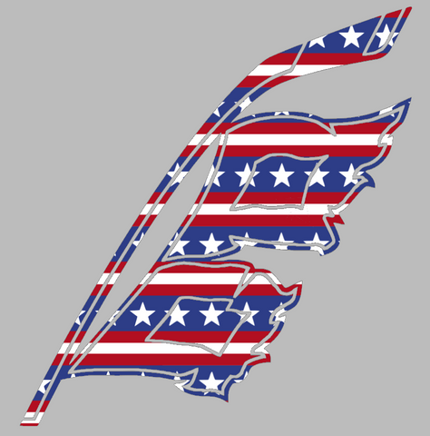 Carolina Hurricanes Alternate Logo Stars & Stripes USA American Flag Vinyl Decal PICK SIZE