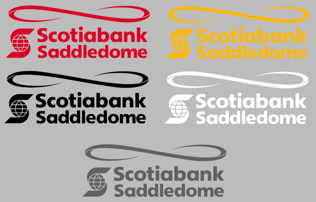 Calgary Flames Saddledome Logo Premium DieCut Vinyl Decal PICK COLOR & SIZE