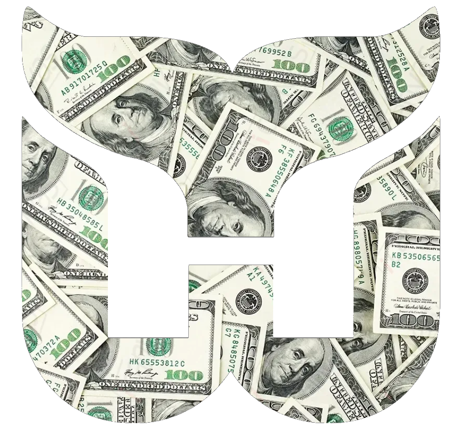 Hartford Whalers Team Logo Money Print Premium DieCut Vinyl Decal PICK SIZE