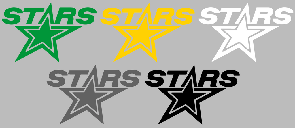 Minnesota North Stars Alternate Logo Premium DieCut Vinyl Decal PICK COLOR & SIZE