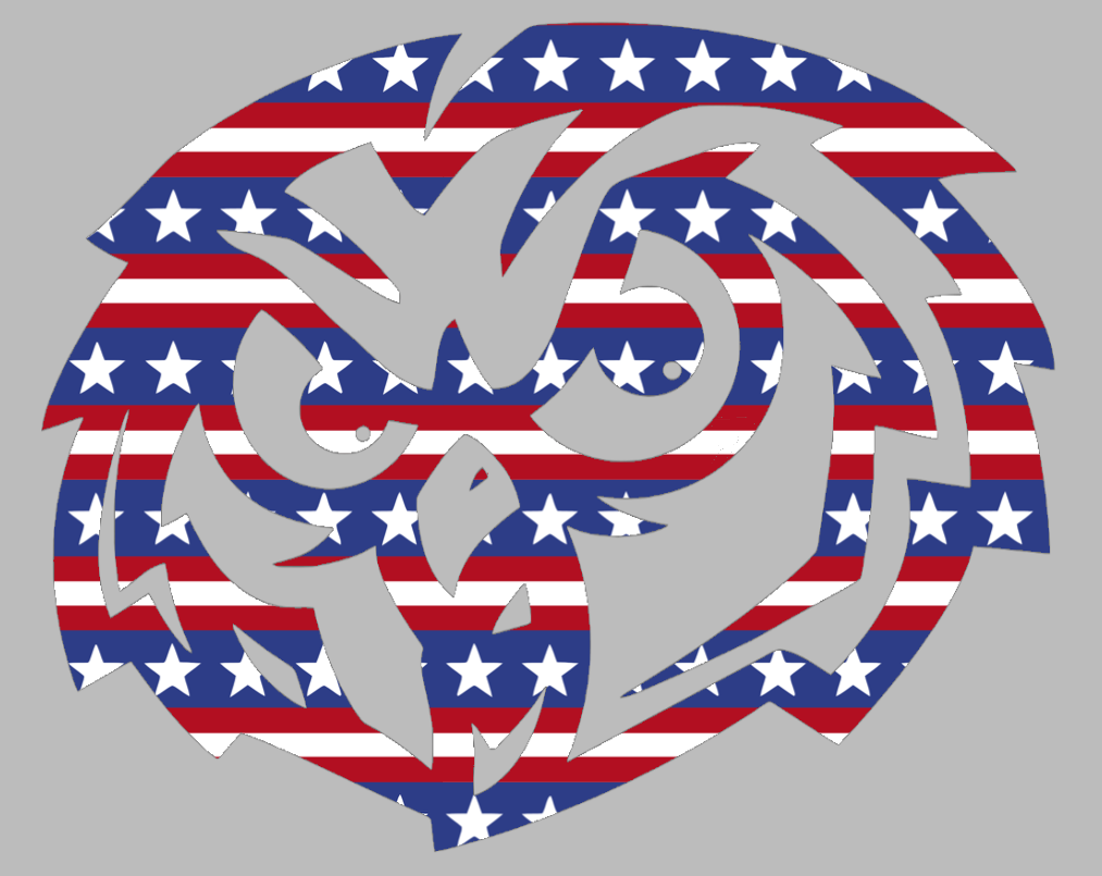 Temple Owls Retro Throwback Logo Stars & Stripes USA American Flag Vinyl Decal PICK SIZE