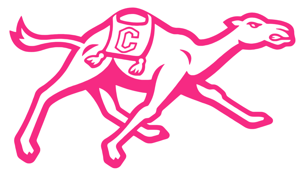 Campbell Fighting Camels HOT PINK Team Logo Premium DieCut Vinyl Decal PICK SIZE