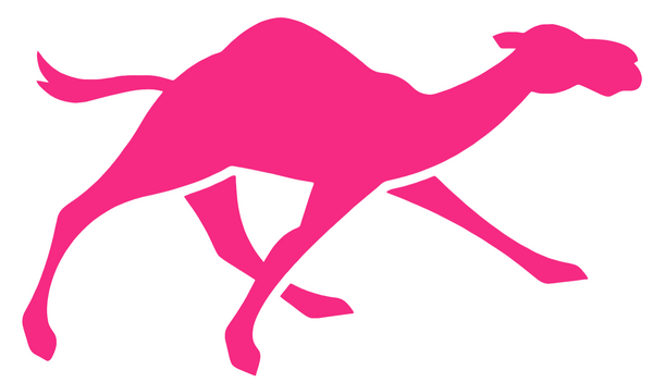 Campbell Fighting Camels HOT PINK Alternate Logo Premium DieCut Vinyl Decal PICK SIZE