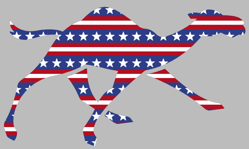Campbell Fighting Camels Alternate Logo Stars & Stripes USA American Flag Vinyl Decal PICK SIZE