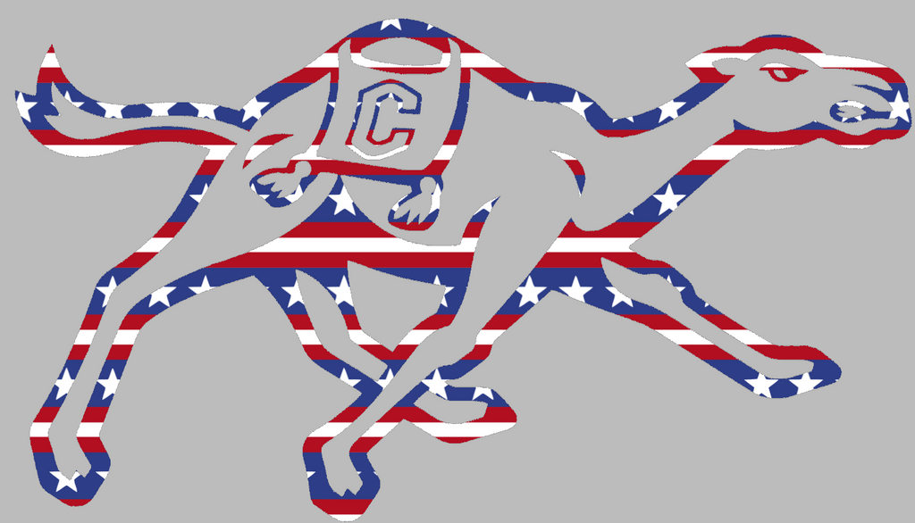 Campbell Fighting Camels Team Logo Stars & Stripes USA American Flag Vinyl Decal PICK SIZE
