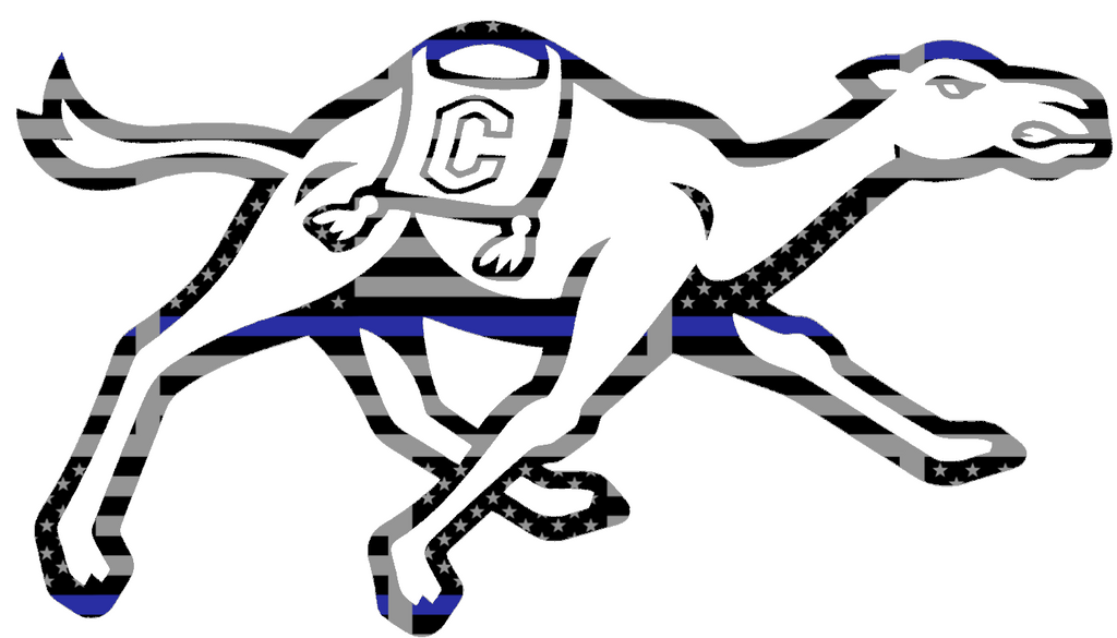 Campbell Fighting Camels Team Logo Thin Blue Line American Flag Premium DieCut Vinyl Decal PICK SIZE
