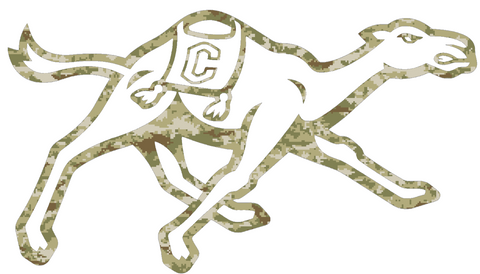 Campbell Fighting Camels Team Logo Salute to Service Camouflage Camo Vinyl Decal PICK SIZE