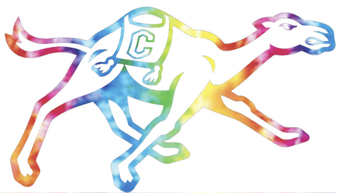 Campbell Fighting Camels Crucial Catch Cancer Multi Color Vinyl Decal PICK SIZE