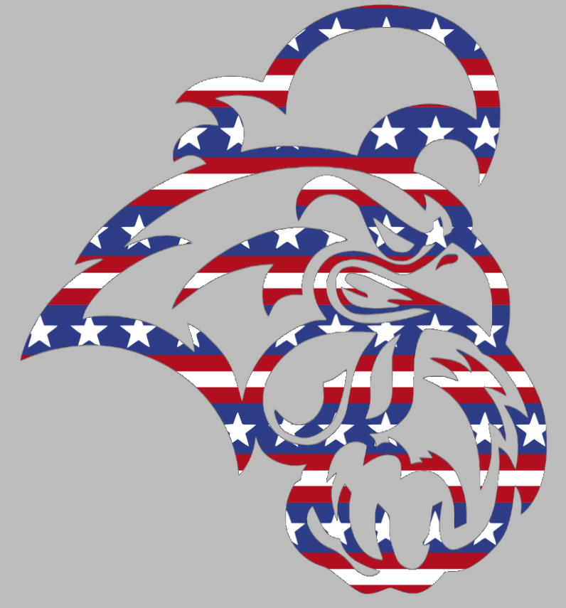 Coastal Carolina Chanticleers Team Logo Stars & Stripes USA American Flag Vinyl Decal PICK SIZE