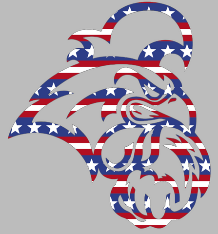 Coastal Carolina Chanticleers Team Logo Stars & Stripes USA American Flag Vinyl Decal PICK SIZE