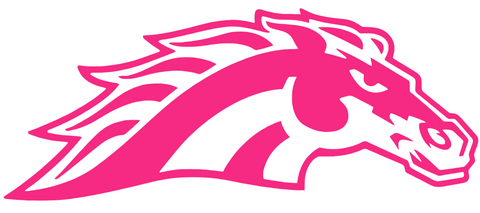 Western Michigan Broncos HOT PINK Mascot Logo Premium DieCut Vinyl Decal PICK SIZE
