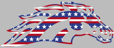 Western Michigan Broncos Mascot Logo Stars & Stripes USA American Flag Vinyl Decal PICK SIZE
