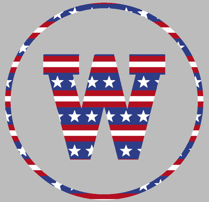 Western Stripes Vinyl