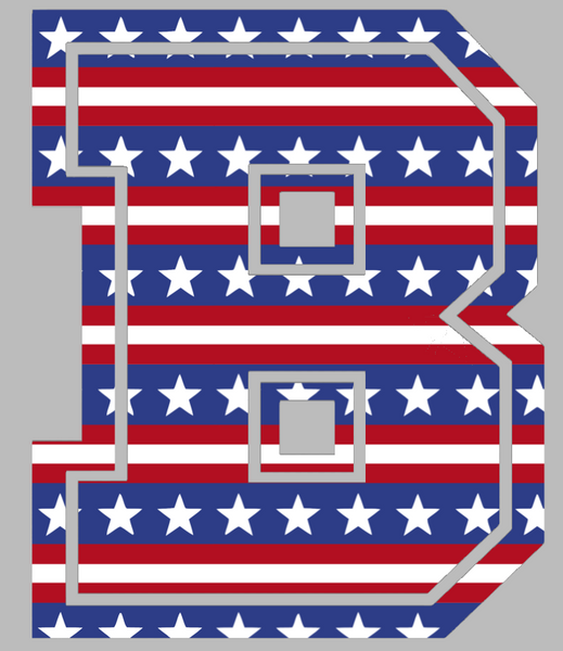 Brown Bears Team Logo Stars & Stripes USA American Flag Vinyl Decal PICK SIZE