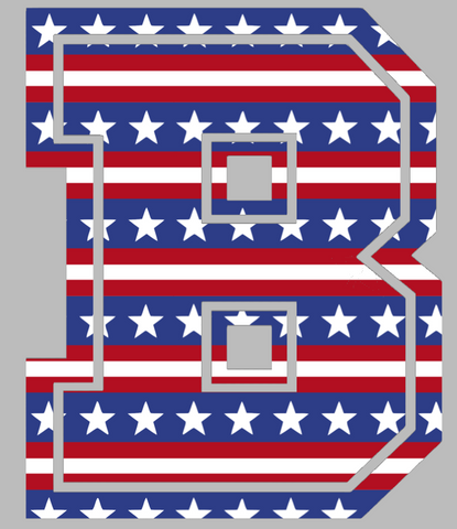 Brown Bears Team Logo Stars & Stripes USA American Flag Vinyl Decal PICK SIZE