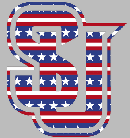 Seattle Redhawks Team Logo Stars & Stripes USA American Flag Vinyl Decal PICK SIZE