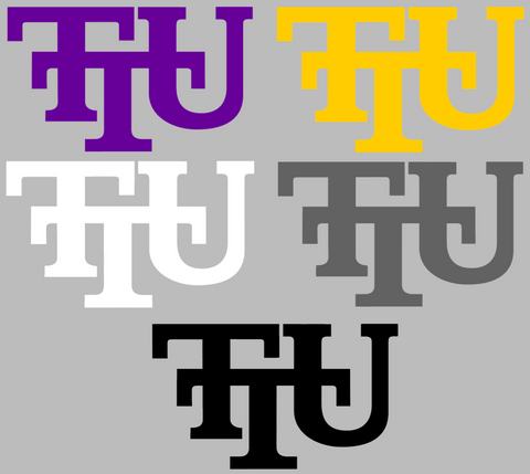 Tennessee Tech Golden Eagles Retro Throwback Logo Premium DieCut Vinyl Decal PICK COLOR & SIZE