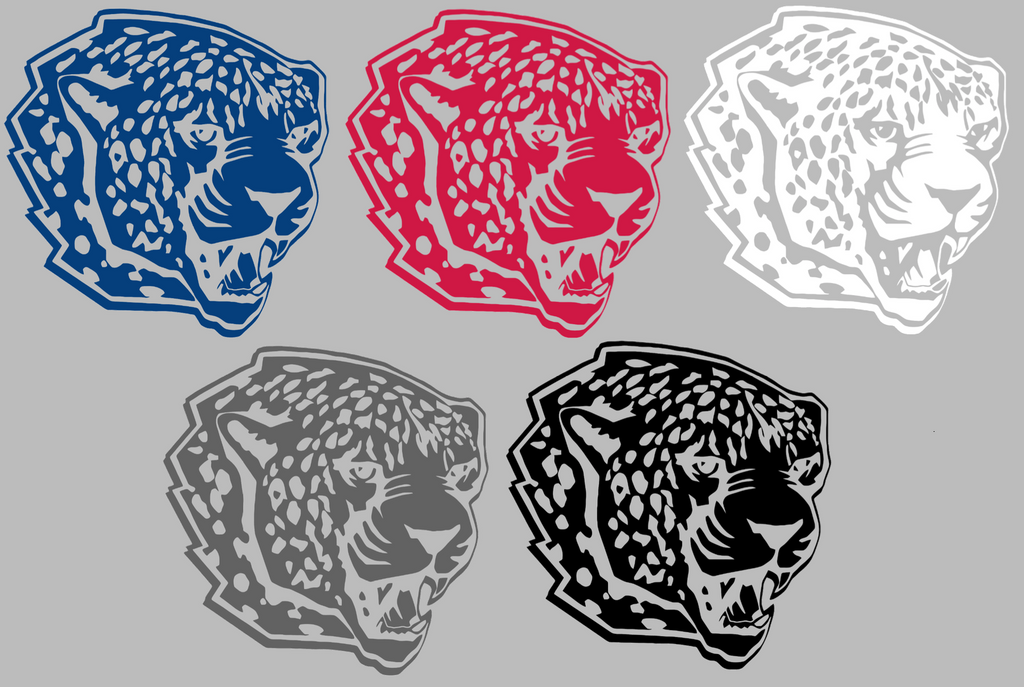 South Alabama Jaguars Retro Throwback Logo Premium DieCut Vinyl Decal PICK COLOR & SIZE