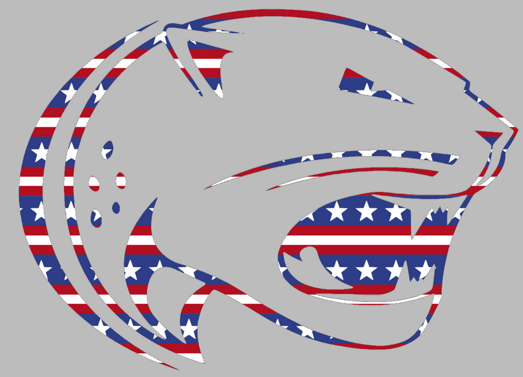 South Alabama Jaguars Team Logo Stars & Stripes USA American Flag Vinyl Decal PICK SIZE