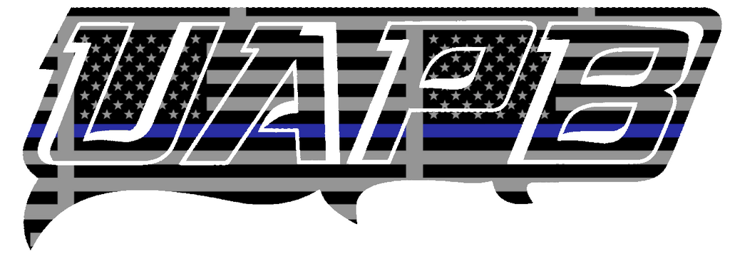 Arkansas Pine Bluff Golden Lions UAPB Logo Thin Blue Line American Flag Premium DieCut Vinyl Decal PICK SIZE