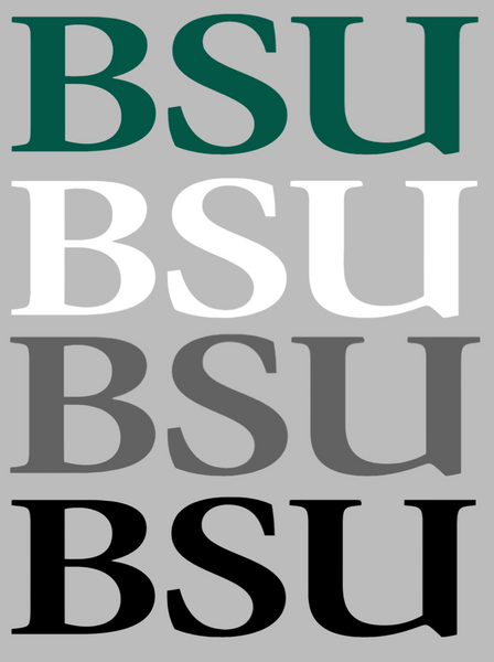 Bemidji State Beavers BSU Logo Premium DieCut Vinyl Decal PICK COLOR & SIZE
