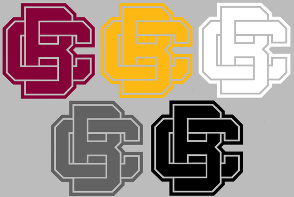 Bethune Cookman Wildcats Team Logo Premium DieCut Vinyl Decal PICK COLOR & SIZE