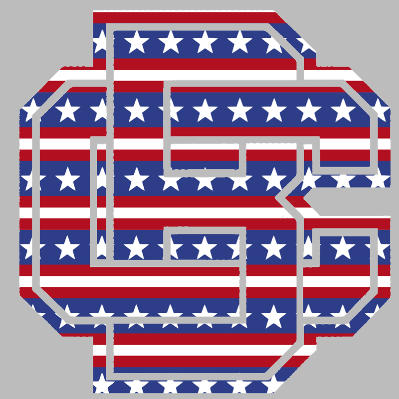 Bethune Cookman Wildcats Team Logo Stars & Stripes USA American Flag Vinyl Decal PICK SIZE