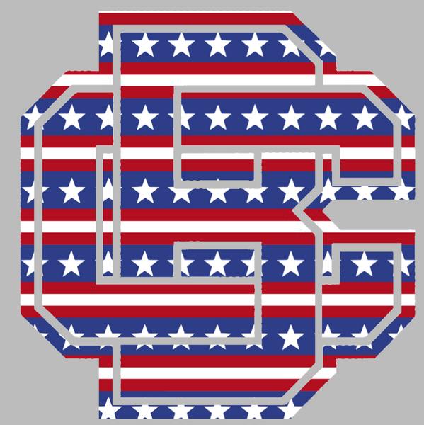 Bethune Cookman Wildcats Team Logo Stars & Stripes USA American Flag Vinyl Decal PICK SIZE