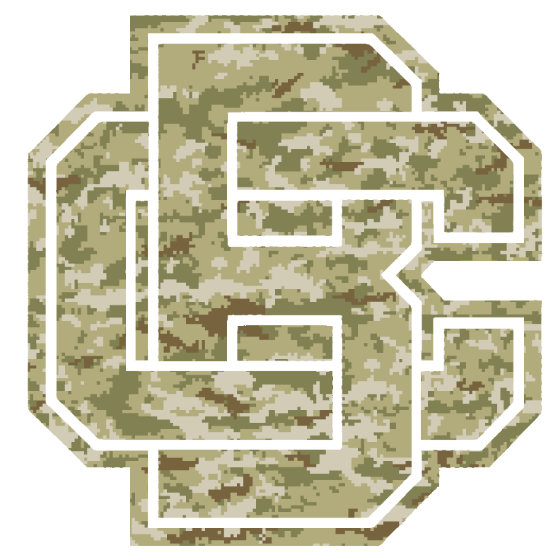 Bethune Cookman Wildcats Team Logo Salute to Service Camouflage Camo Vinyl Decal PICK SIZE