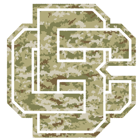 Bethune Cookman Wildcats Team Logo Salute to Service Camouflage Camo Vinyl Decal PICK SIZE