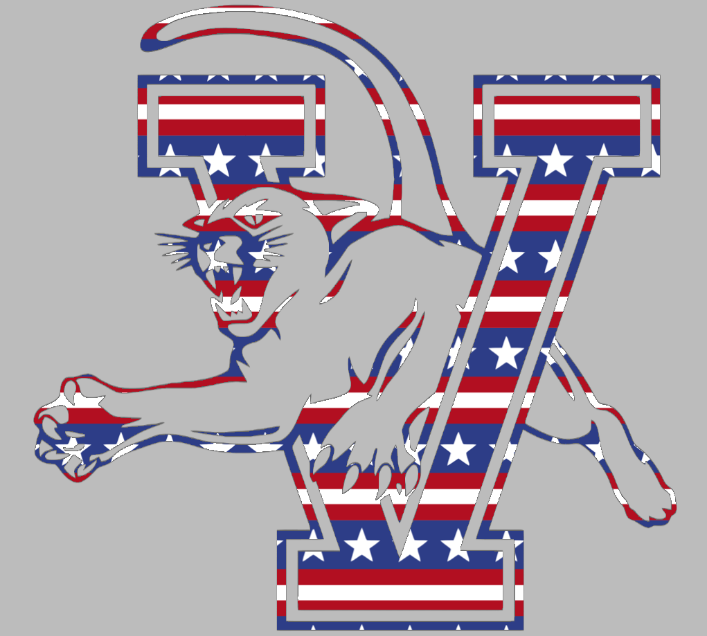 Vermont Catamounts Team Logo Stars & Stripes USA American Flag Vinyl Decal PICK SIZE