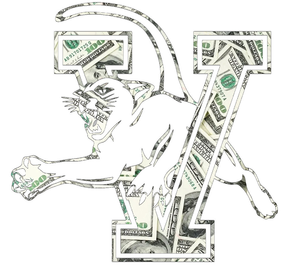Vermont Catamounts Team Logo Money Print Premium DieCut Vinyl Decal PICK SIZE
