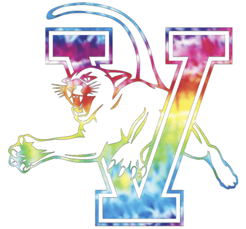 Vermont Catamounts Team Logo Crucial Catch Cancer Tie Dye Vinyl Decal PICK SIZE