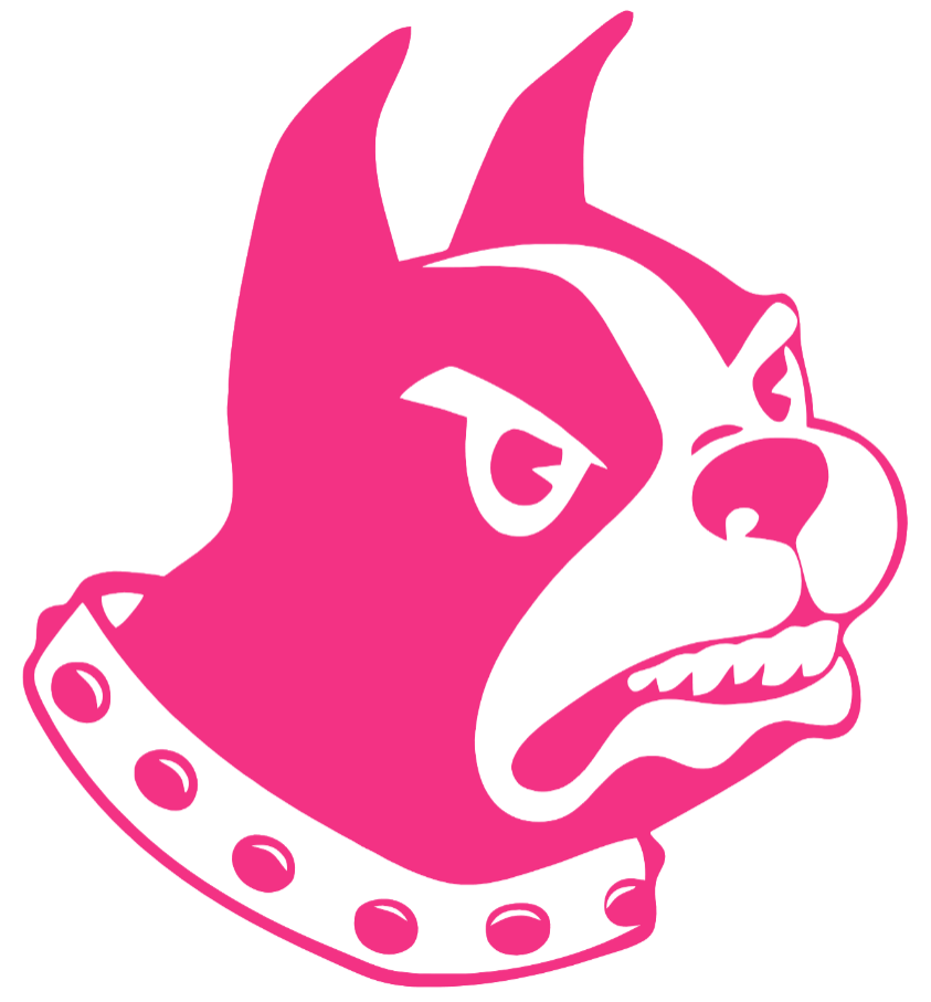 Wofford Terriers HOT PINK Team Logo Premium DieCut Vinyl Decal PICK SIZE