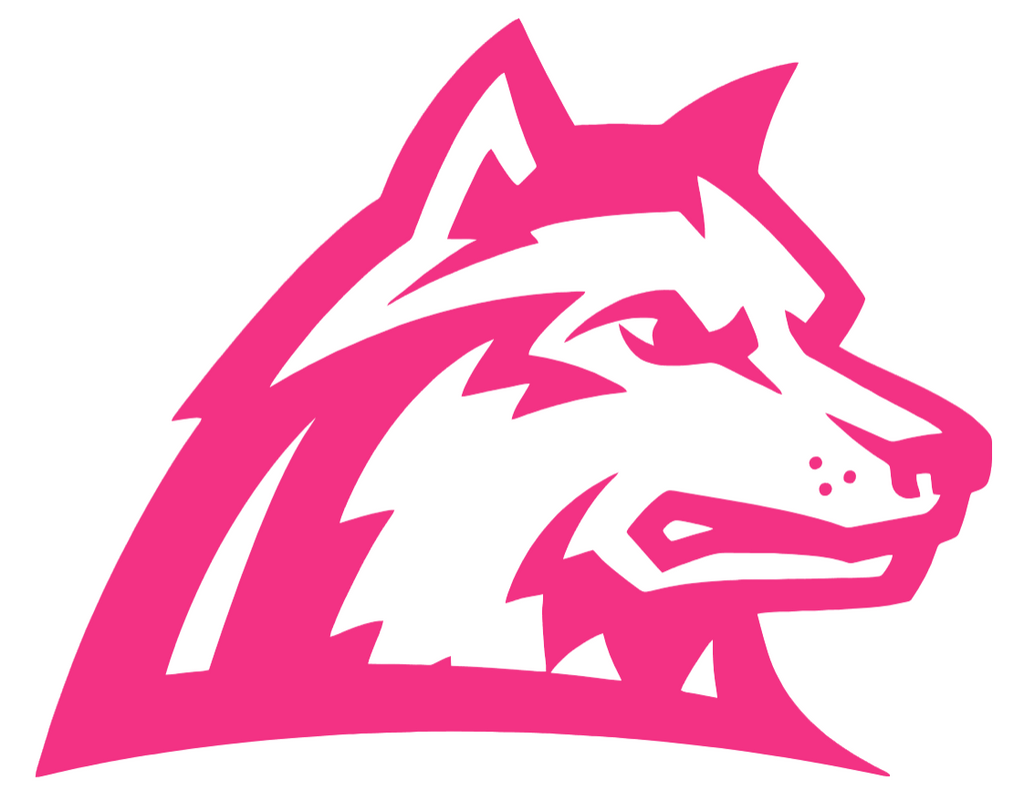 Wright State Raiders HOT PINK Team Logo Premium DieCut Vinyl Decal PICK SIZE