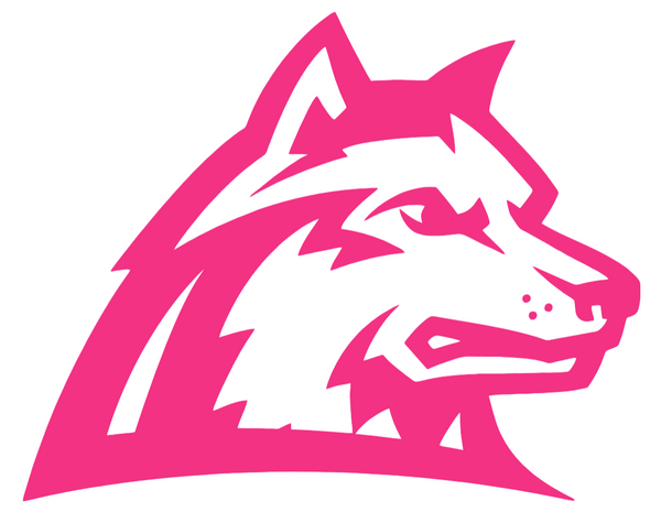 Wright State Raiders HOT PINK Team Logo Premium DieCut Vinyl Decal PICK SIZE