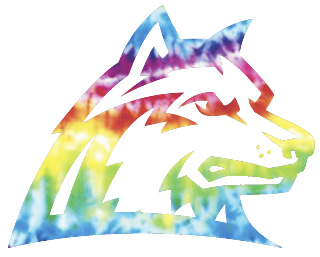 Wright State Raiders Team Logo Crucial Catch Cancer Tie Dye Vinyl Decal PICK SIZE