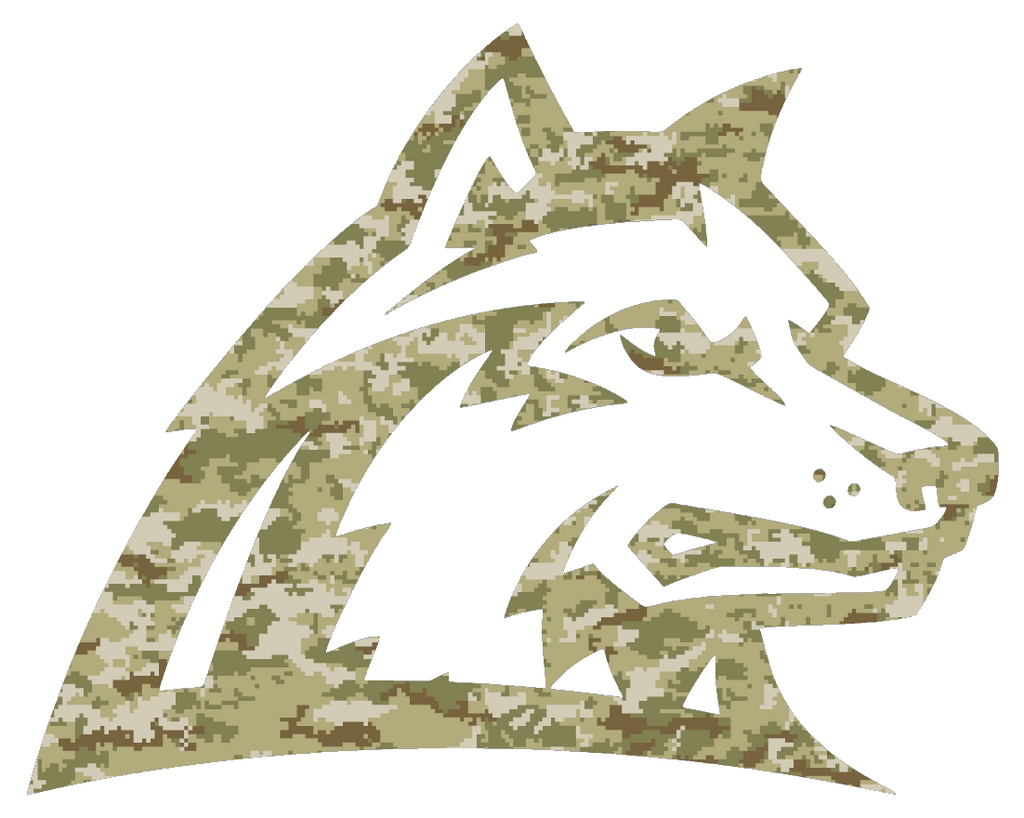 Wright State Raiders Team Logo Salute to Service Camouflage Camo Vinyl Decal PICK SIZE