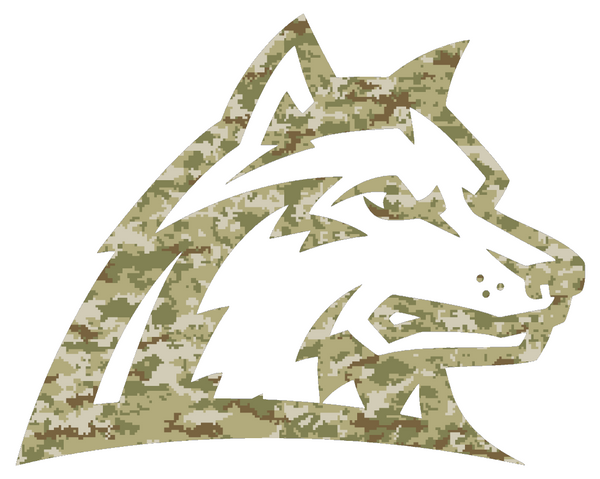 Wright State Raiders Team Logo Salute to Service Camouflage Camo Vinyl Decal PICK SIZE