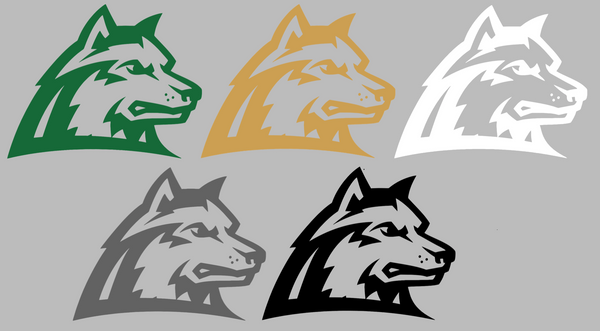 Wright State Raiders Team Logo Premium DieCut Vinyl Decal PICK COLOR & SIZE