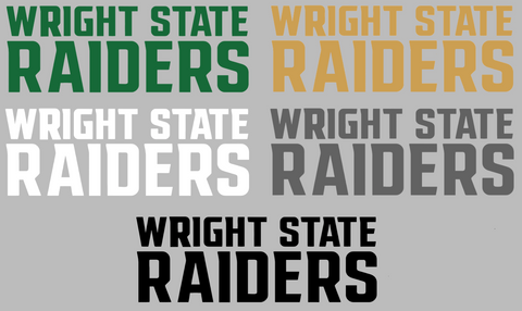 Wright State Raiders Team Name Logo Premium DieCut Vinyl Decal PICK COLOR & SIZE