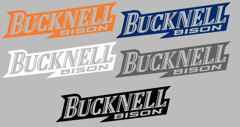 Bucknell Bison Team Name Logo Premium DieCut Vinyl Decal PICK COLOR & SIZE