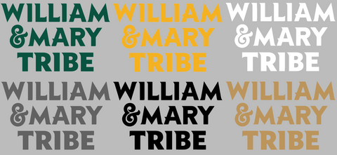 William and Mary Tribe Team Name Logo Premium DieCut Vinyl Decal PICK COLOR & SIZE