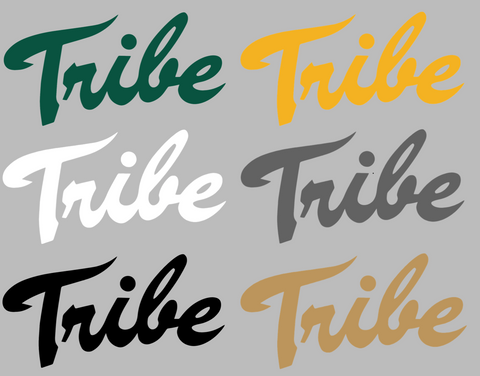 William and Mary Tribe Retro Throwback Logo Premium DieCut Vinyl Decal PICK COLOR & SIZE