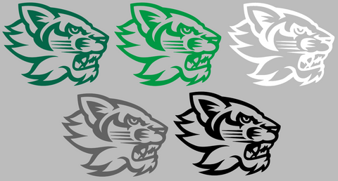 Binghampton Bearcats Retro Throwback Logo Premium DieCut Vinyl Decal PICK COLOR & SIZE
