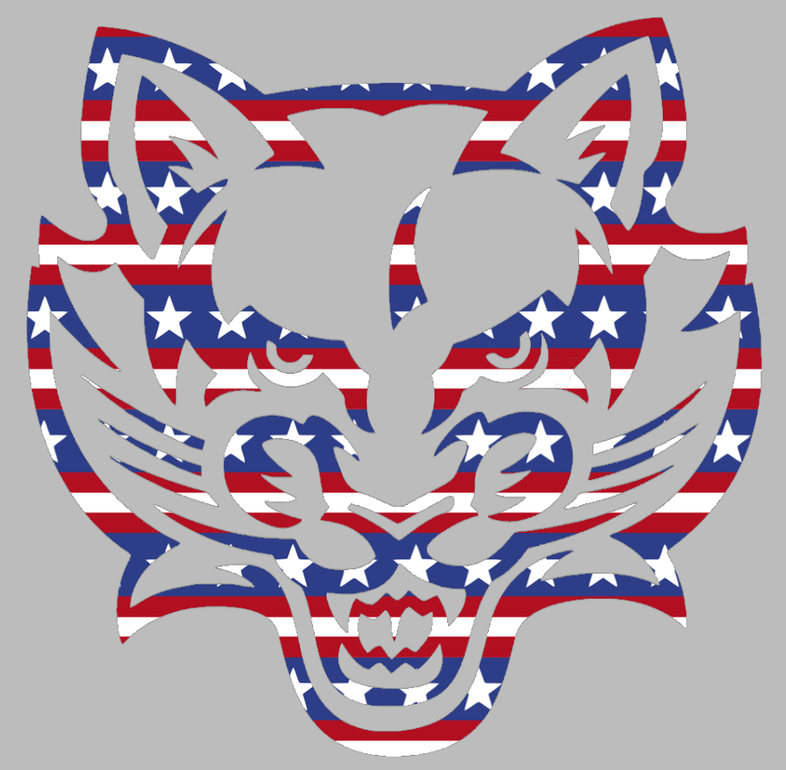Binghampton Bearcats Team Logo Stars & Stripes USA American Flag Vinyl Decal PICK SIZE