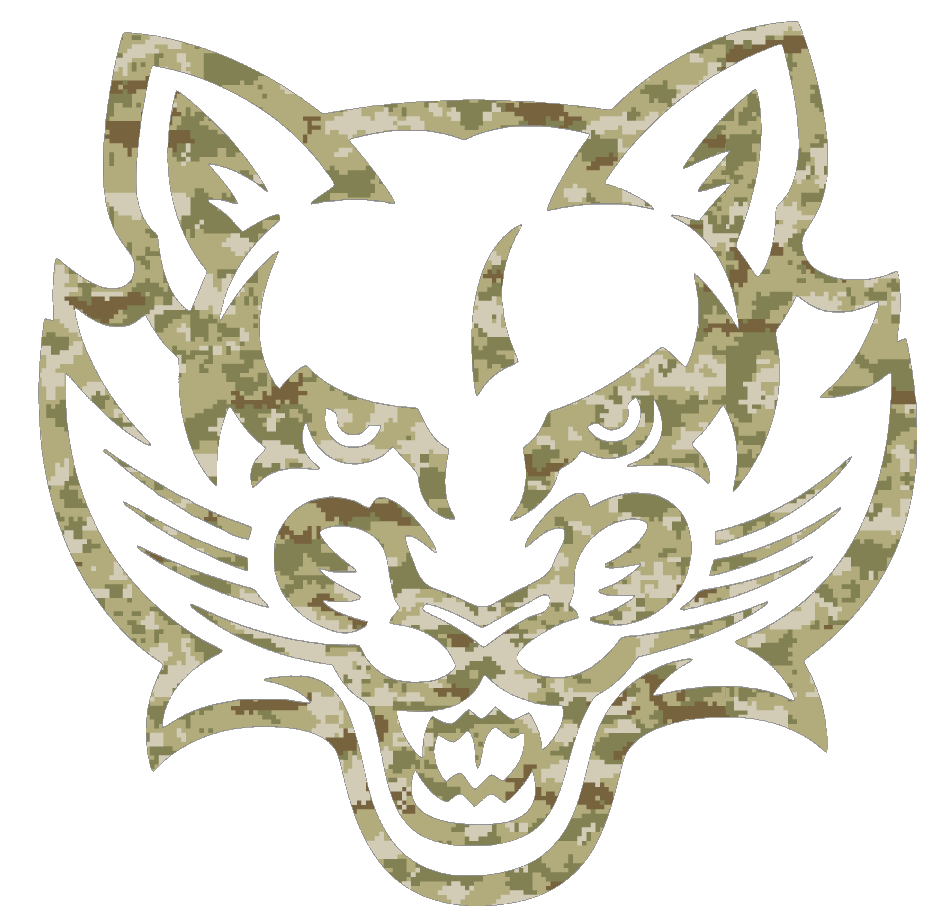 Binghampton Bearcats Team Logo Salute to Service Camouflage Camo Vinyl Decal PICK SIZE