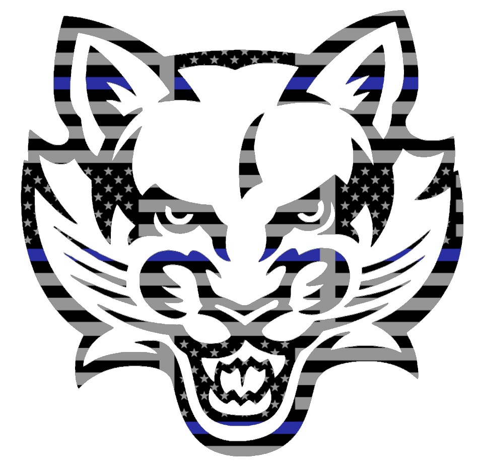 Binghampton Bearcats Team Logo Thin Blue Line American Flag Premium DieCut Vinyl Decal PICK SIZE